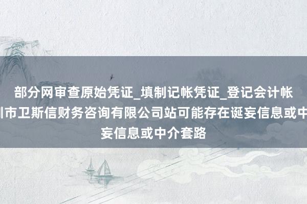 部分网审查原始凭证_填制记帐凭证_登记会计帐簿_深圳市卫斯信财务咨询有限公司站可能存在诞妄信息或中介套路